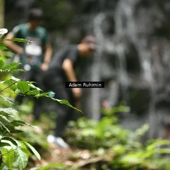 Runner Photo 8146076
