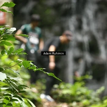 Runner Photo 8146080