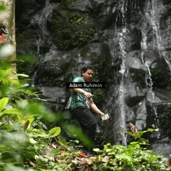 Runner Photo 8146107