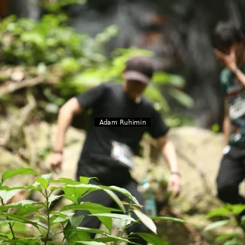 Runner Photo 8146115