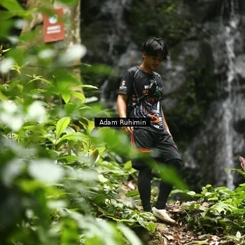 Runner Photo 8146160