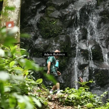 Runner Photo 8146220