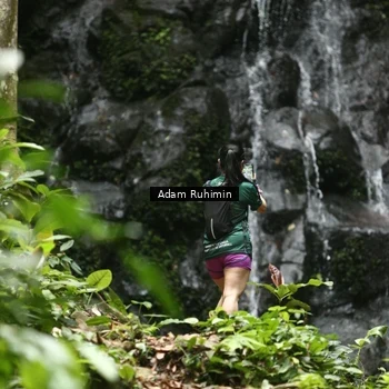 Runner Photo 8146261