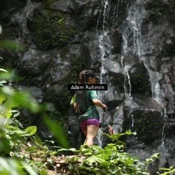 Runner Photo 8146263