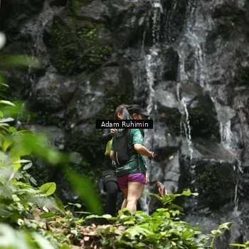 Runner Photo 8146264