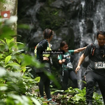 Runner Photo 8146298