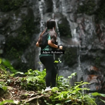Runner Photo 8146318