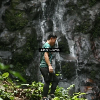 Runner Photo 8146370
