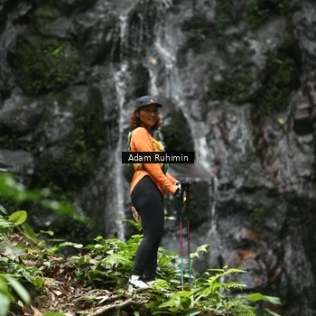 Runner Photo 8146414