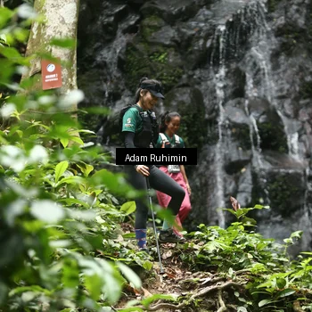 Runner Photo 8146575