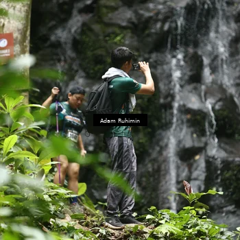 Runner Photo 8146712