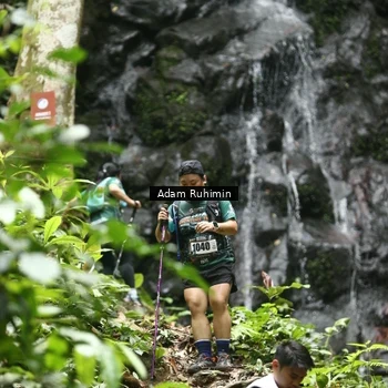 Runner Photo 8146733