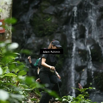 Runner Photo 8146918