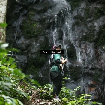 Runner Photo 8146943