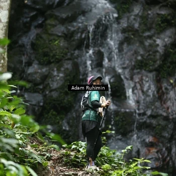 Runner Photo 8146952