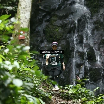 Runner Photo 8146967