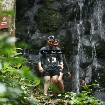 Runner Photo 8146987
