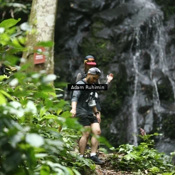 Runner Photo 8147001