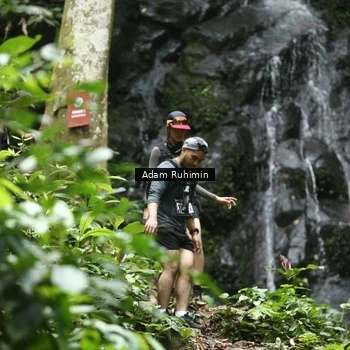 Runner Photo 8147002