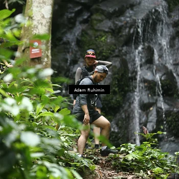 Runner Photo 8147033