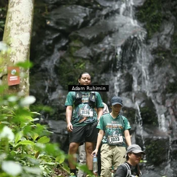 Runner Photo 8147050