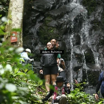 Runner Photo 8147090