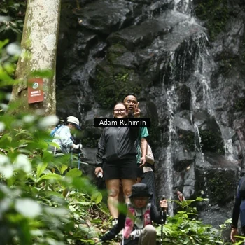 Runner Photo 8147095