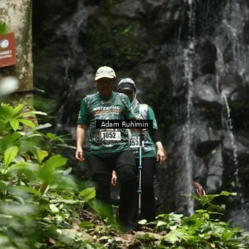 Runner Photo 8147348