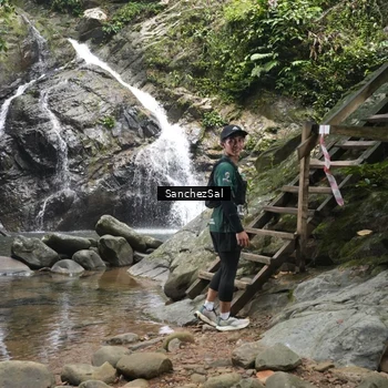 Runner Photo 8147470