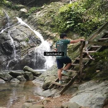 Runner Photo 8147487