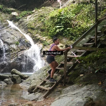 Runner Photo 8147491