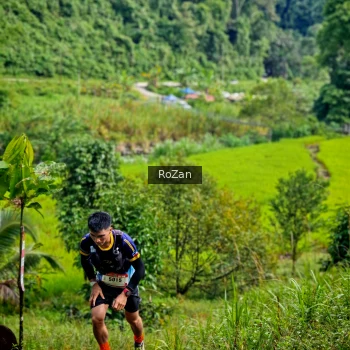 Runner Photo 81475
