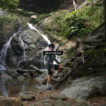 Runner Photo 8147500