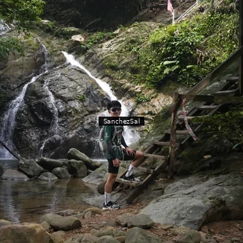 Runner Photo 8147502