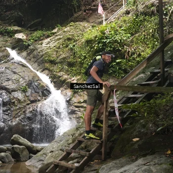 Runner Photo 8147581