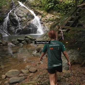 Runner Photo 8147611