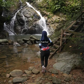 Runner Photo 8147614