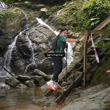 Runner Photo 8147665