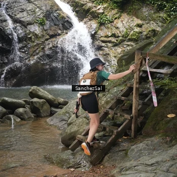 Runner Photo 8147766