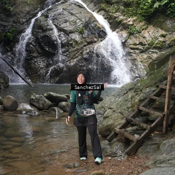 Runner Photo 8147794