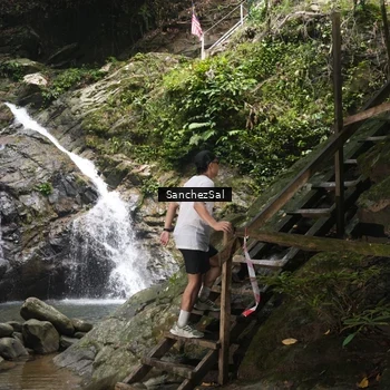 Runner Photo 8147813