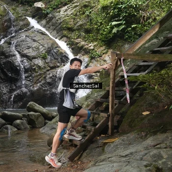 Runner Photo 8147858