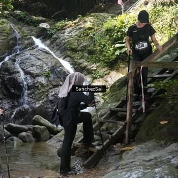 Runner Photo 8147999