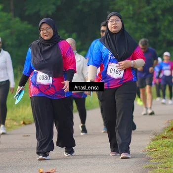 Runner Photo 8148413
