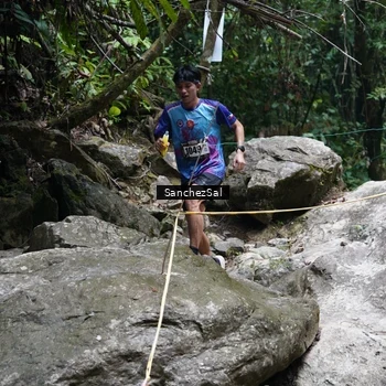Runner Photo 8148528
