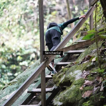 Runner Photo 8148584