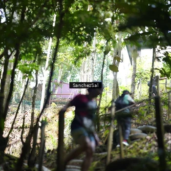 Runner Photo 8148954