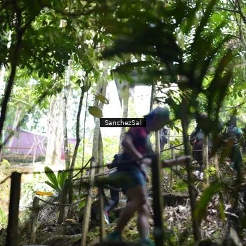 Runner Photo 8148957