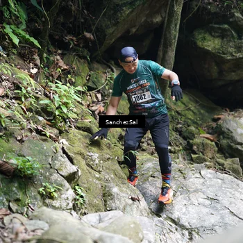Runner Photo 8149063