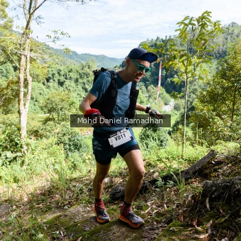 Runner Photo 81501